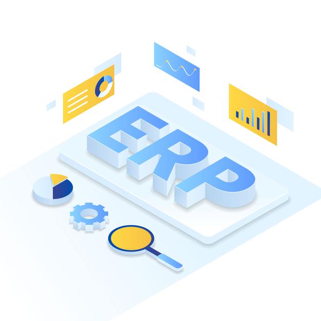 ERP application development
