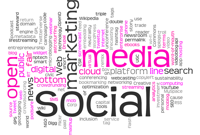 what is the social media marketing