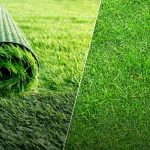 Natural grass vs fake grass