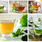 5 Incredible Factors that Make Green Tea Shot a Life Saving Drink